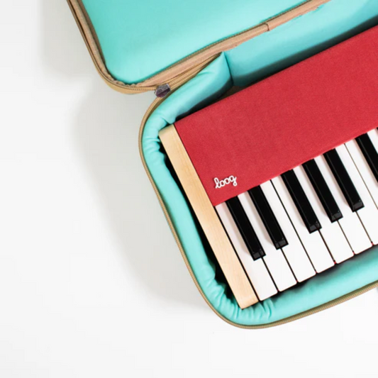 loog® piano carrying case